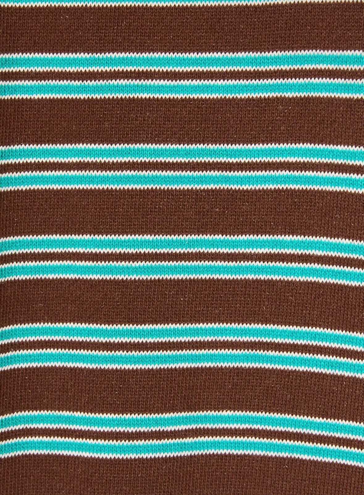 Brownstone Blue Shorts