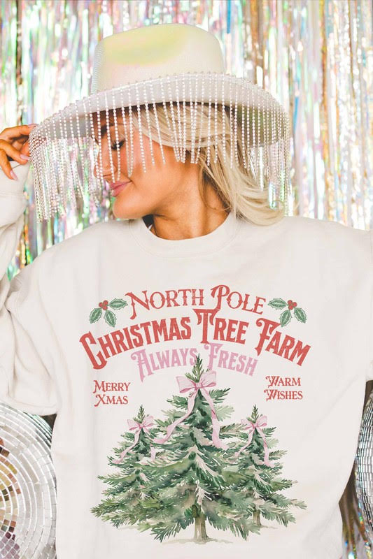 North Pole Sweatshirt