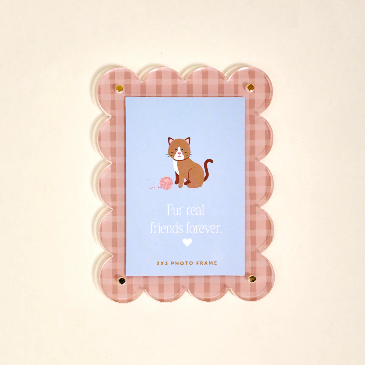 The Darling Effect-Mini Magnetic Acrylic Picture Frame