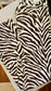Brown Safari Denim Pants