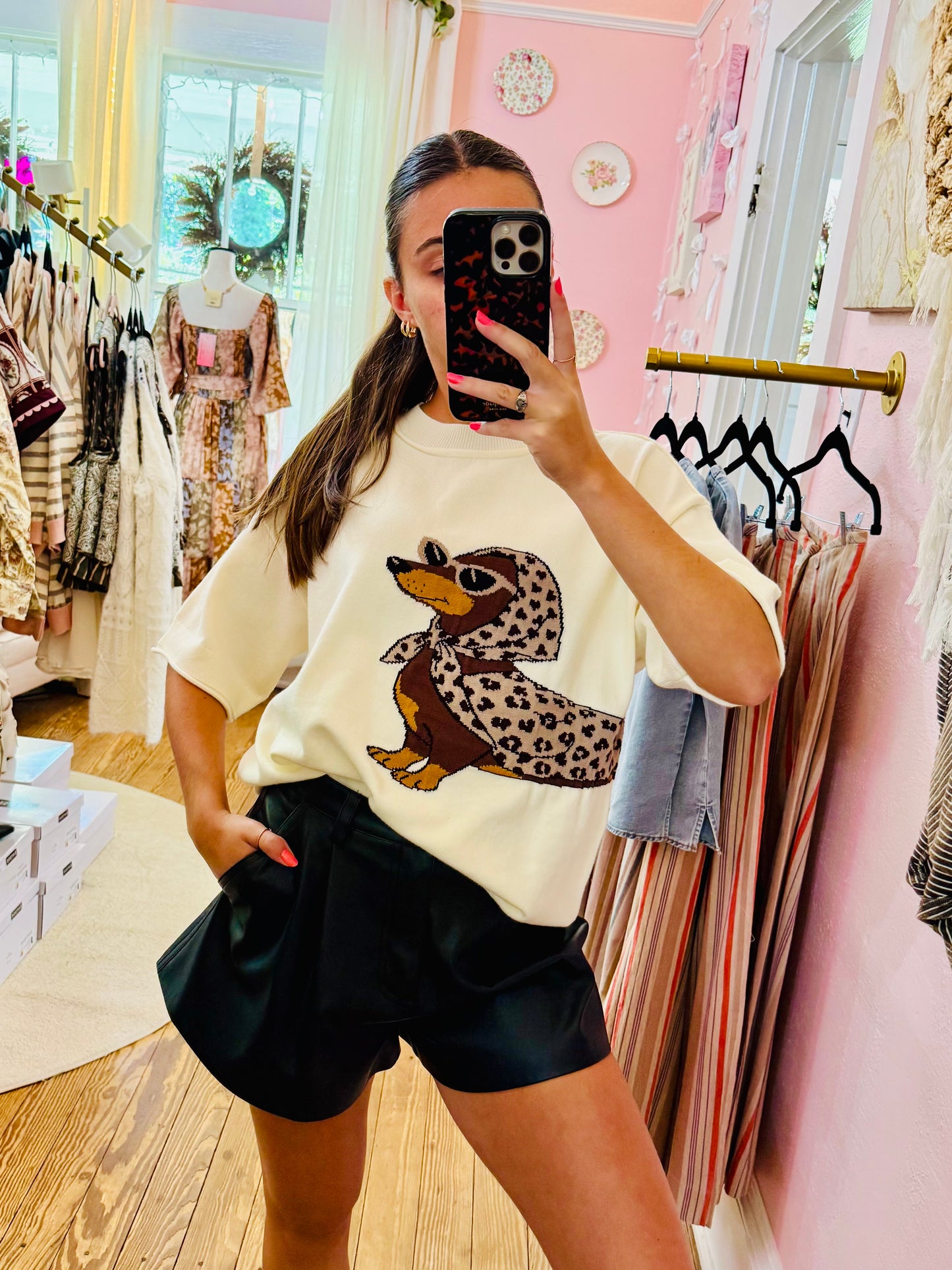 Dachshund Graphic Short Sleeve Sweater
