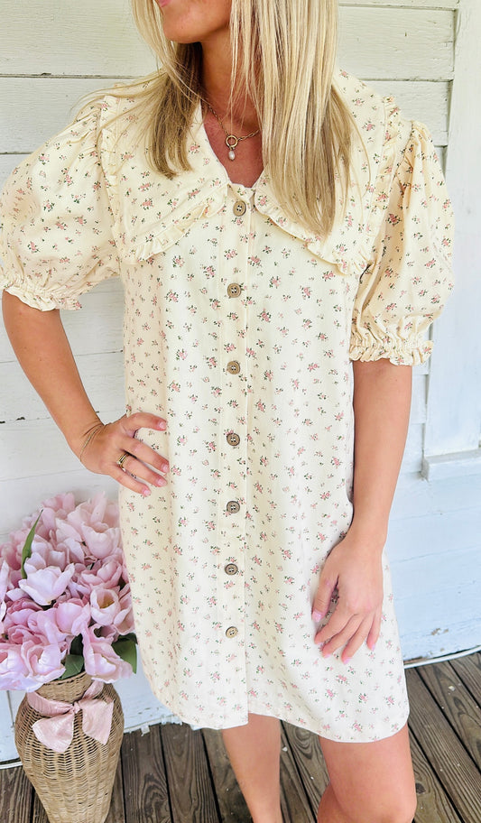 Honey Floral Mini Dress